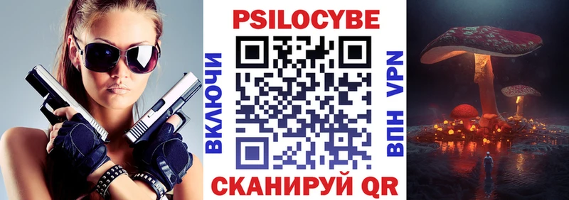Купить где  Андреаполь  Галлюциногенные грибы Psilocybe 
